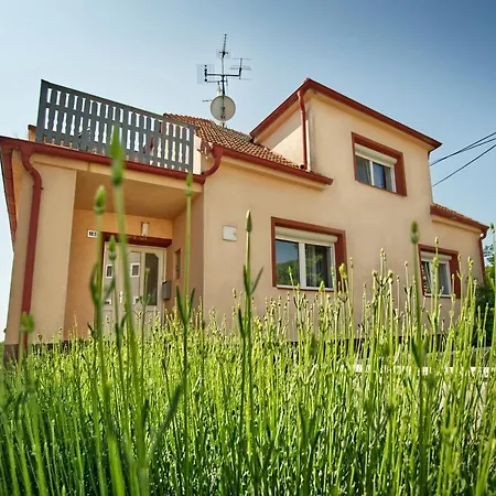 Vila Ochutnej Palavu - Apartman Riesling * Pavlov